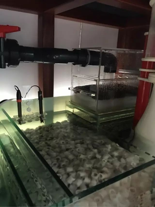 fot多大缸,fot高缸