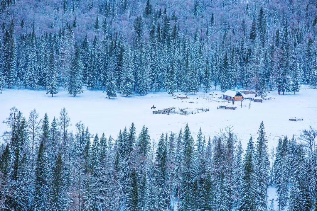 冬天的新疆喀纳斯,冬天是去伊犁还是喀纳斯