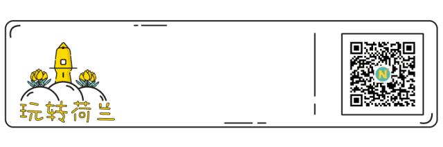 去海牙最好的地方,海牙游览