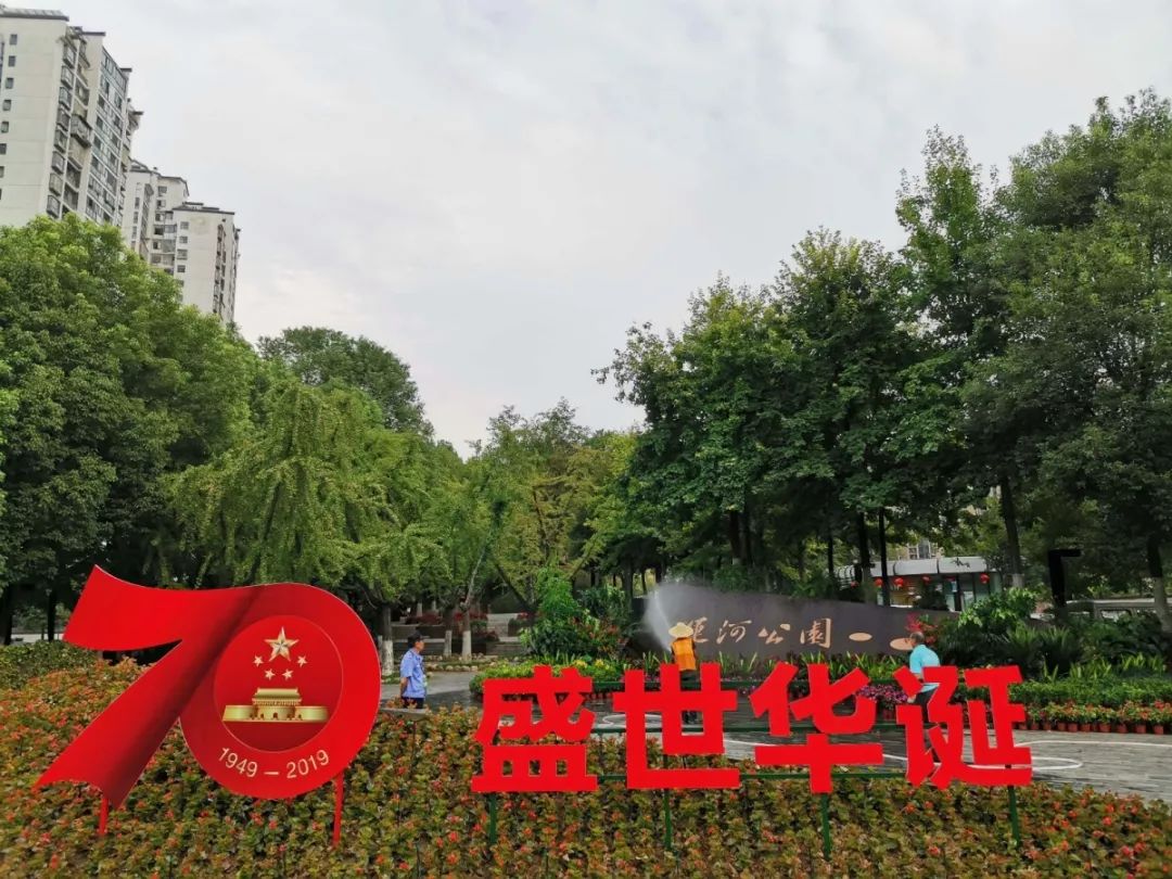 花漾宜昌如此美丽！44万盆鲜花全城绽放