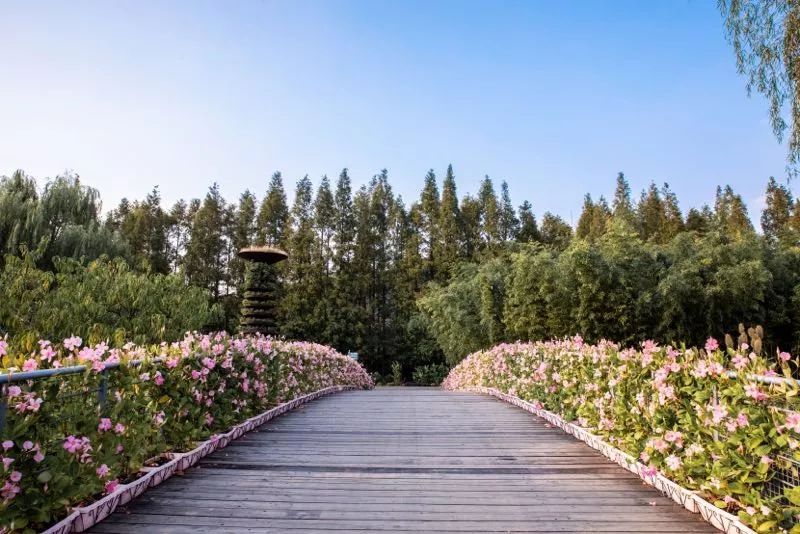 假期余额不足剩余1%请及时充值,假期余额不足去旅行