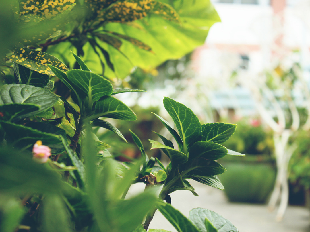 环岛路到溪头下,思明区环岛南路溪头下9号