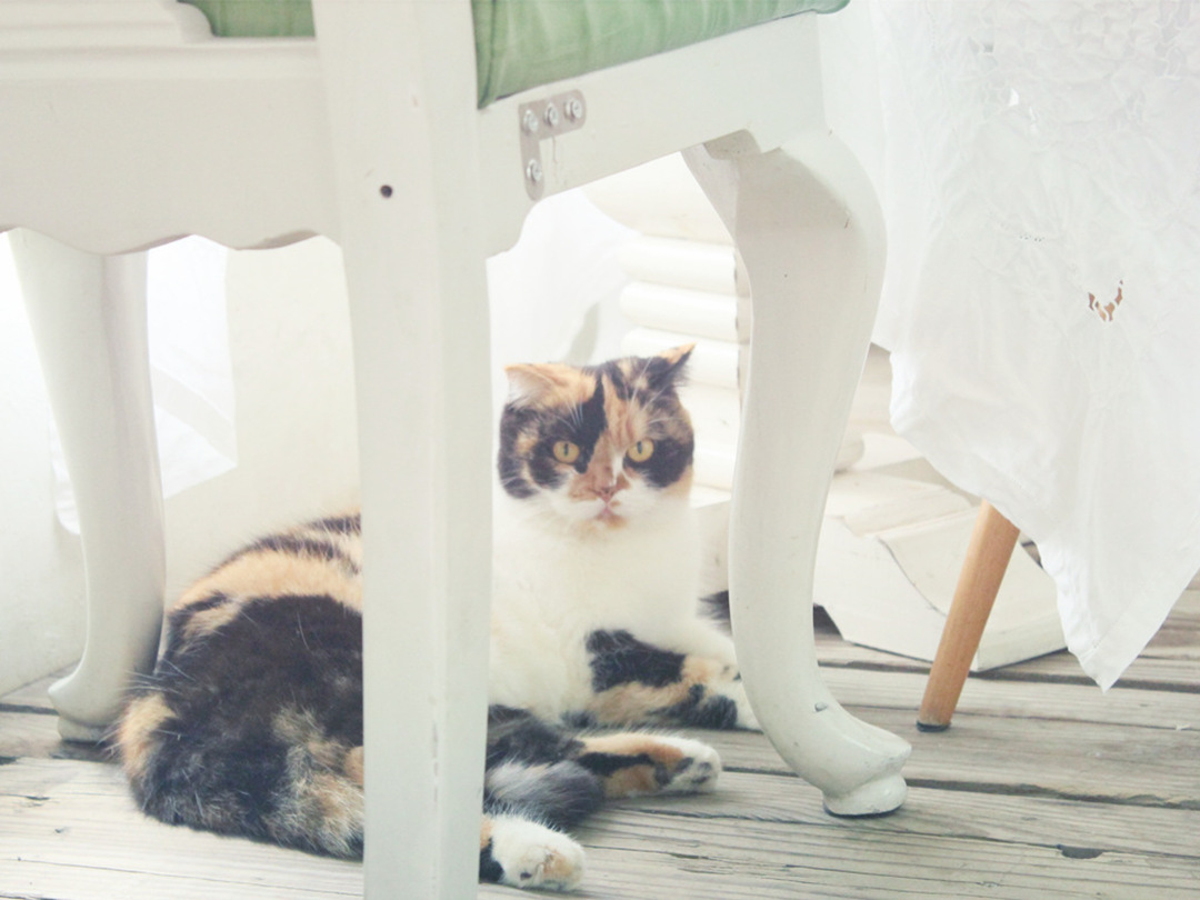 环岛路到溪头下,思明区环岛南路溪头下9号