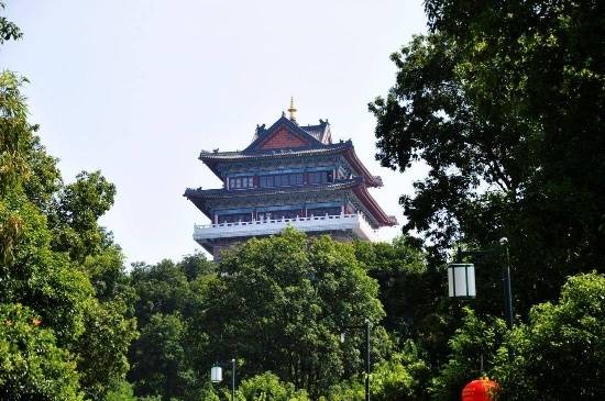 罗浮山重阳登高公告,重阳高榜山