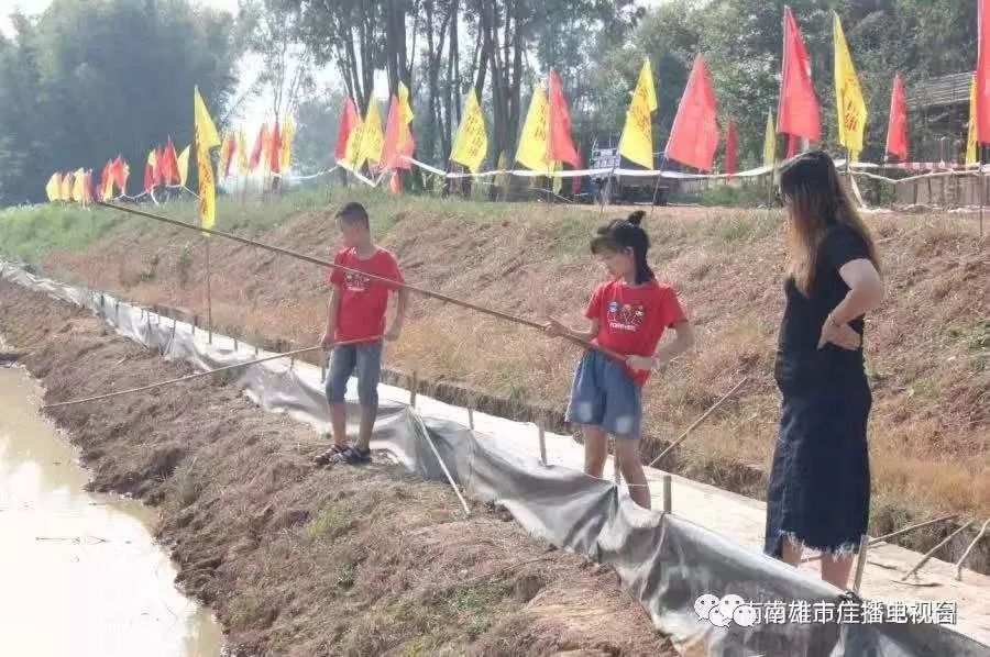 农村生态旅游景区生态休闲好去处,乡村生态旅游火热