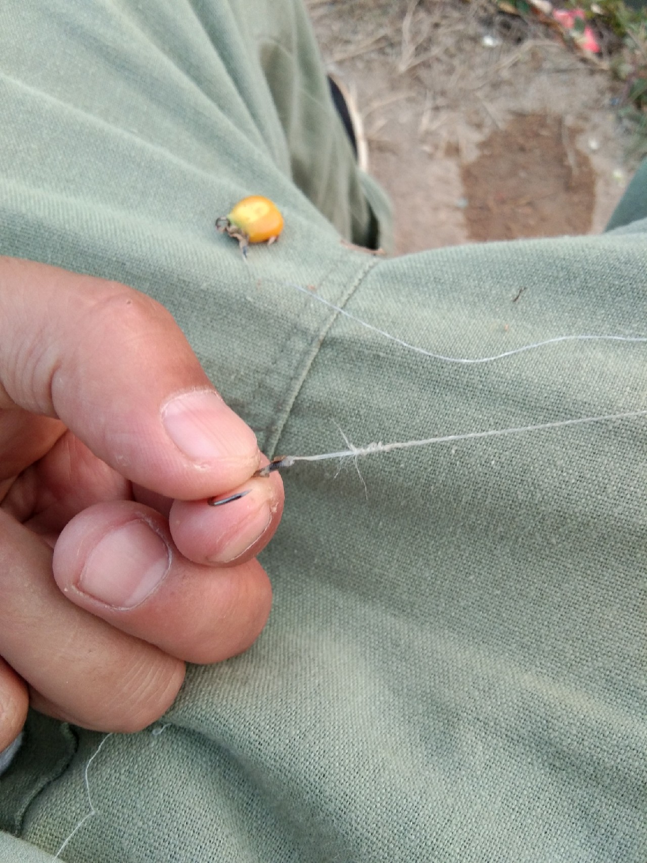 淡水白鲳秋天怎么钓,串钩钓淡水白鲳