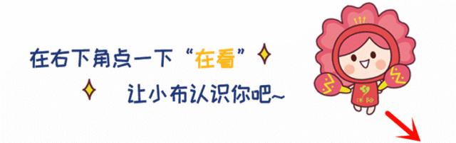 市中区小学学校排名一览表,各区重点小学排名