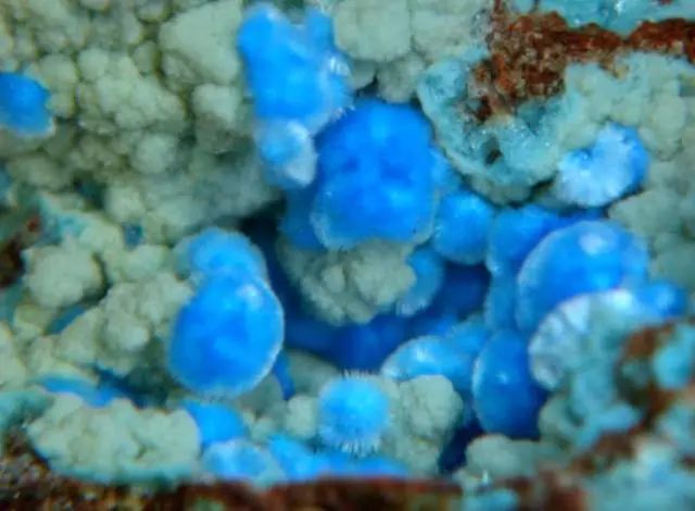 谁还不是个小可爱呢下一句,谁还不是小可爱