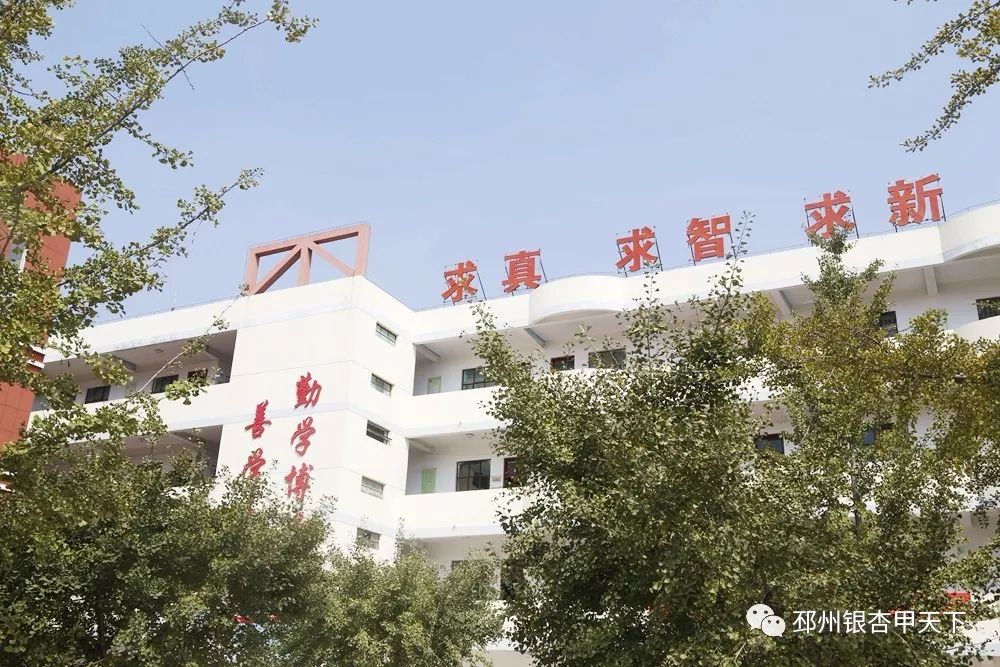 新教辅楼、接送广场...官湖这两所学校大变样,在你家附近吗?