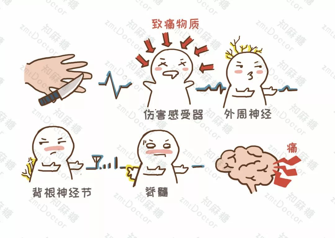 世界镇痛日摆脱疼痛杜绝亚健康,世界镇痛日主题