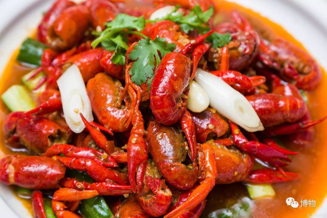 为了变成纯纯的*棍肉**，虾真是操碎了心