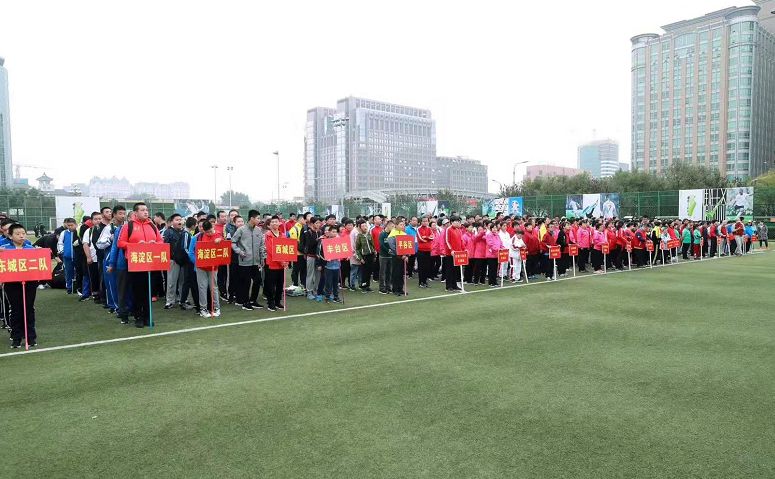 绿茵场上逐梦,绿茵场上尽情驰骋追逐足球梦