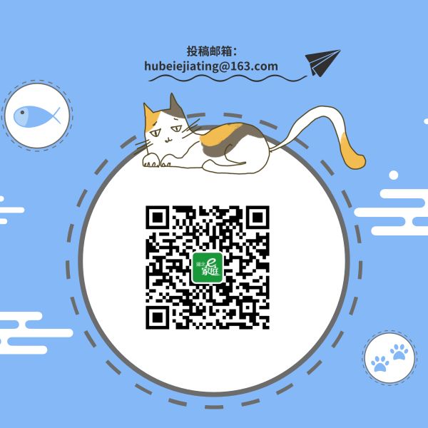 武汉有没有岳飞,武汉有岳飞吗