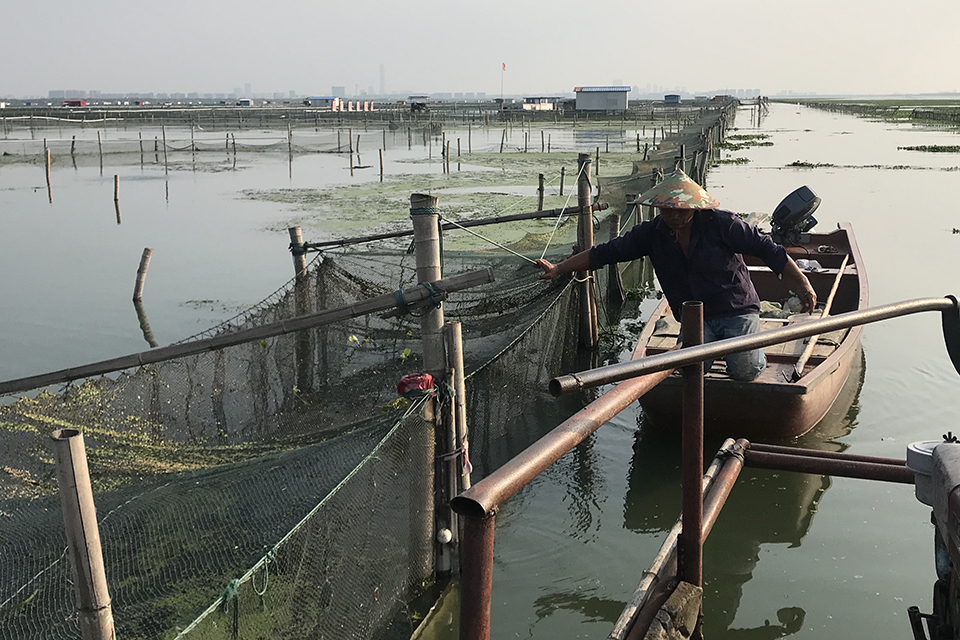 让路环保，户口难上，纸蟹横飞