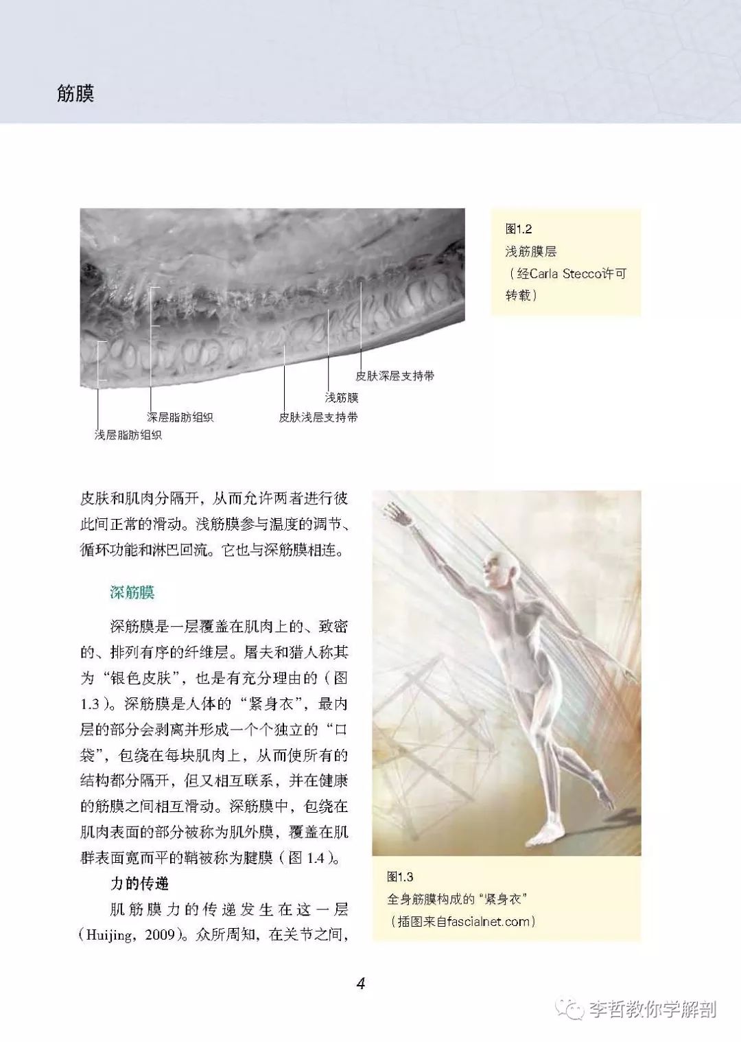 好书推荐意义,好书推荐的意思是什么