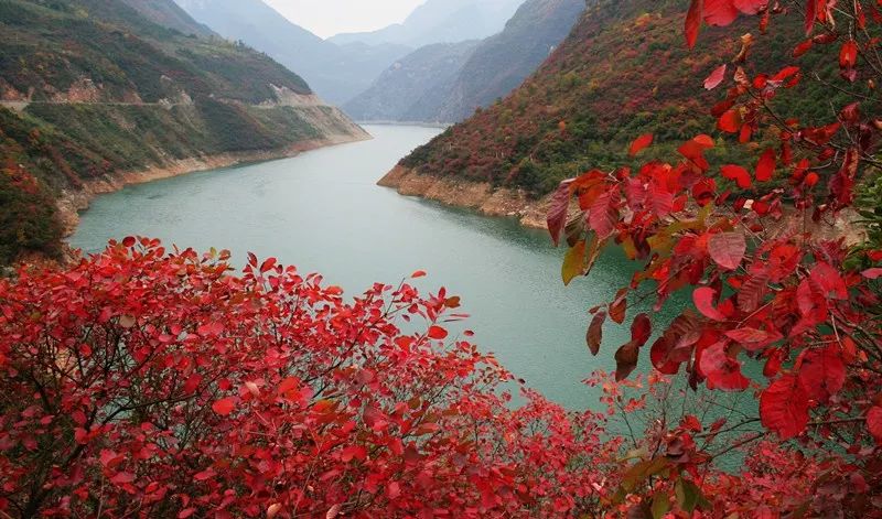 宜昌看红叶最佳地点,宜昌红叶最佳地点