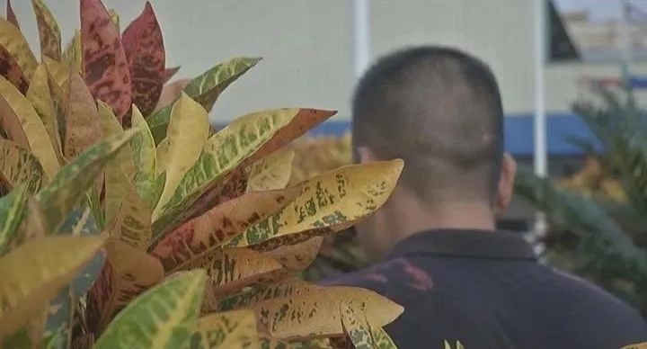 男子做生意被骗钱跑了,男子被骗做生意