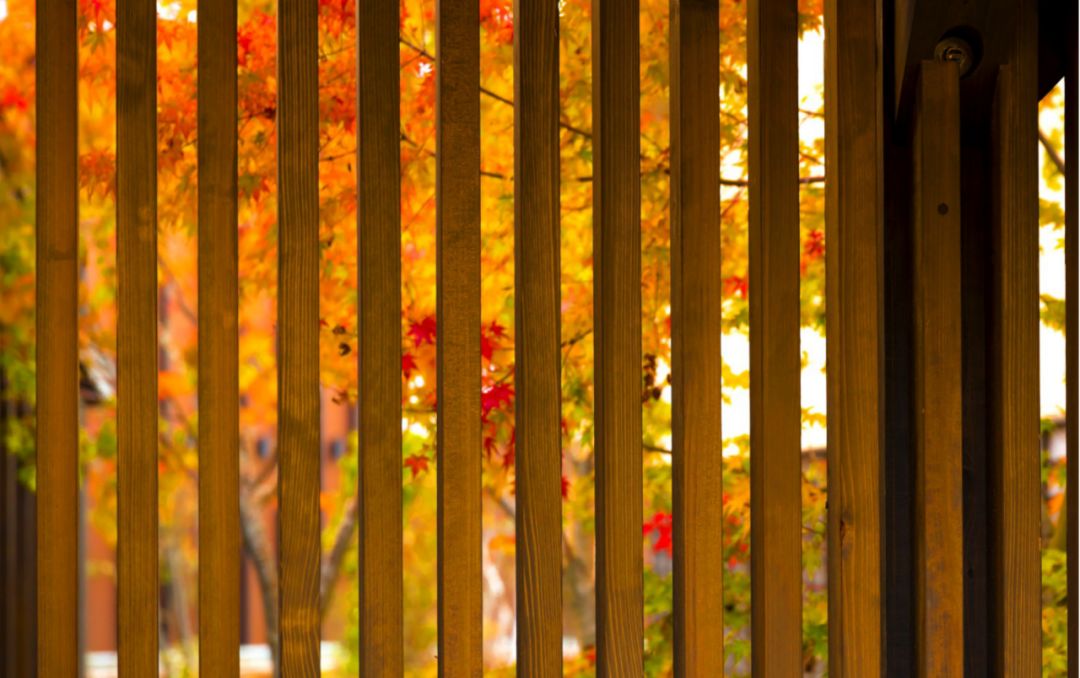 日本七日游温泉酒店,去日本旅游100次