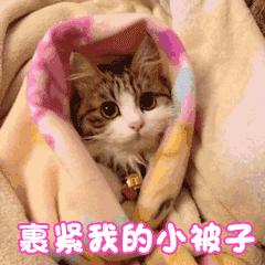 烤火取暖注意安全,明火取暖要注意打开门窗