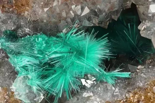 谁还不是个小可爱文案,谁小时候还不是个小可爱