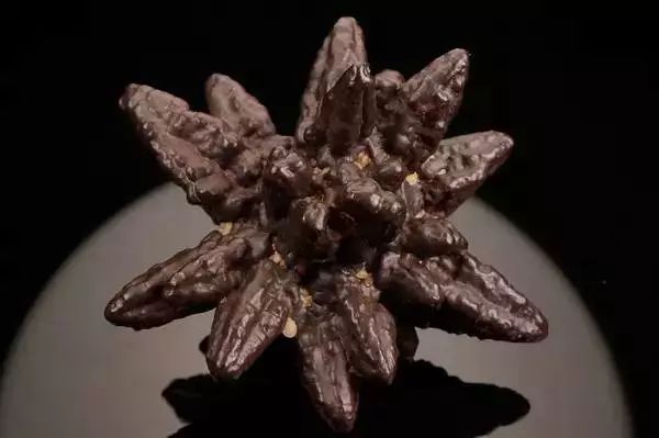 谁还不是个小可爱呢下一句,谁还不是小可爱