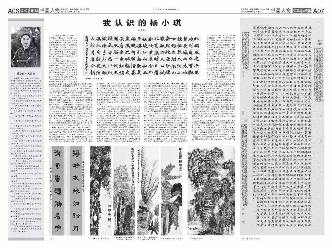 杨小琪书法,杨小琪书法作品在陕西排多少名