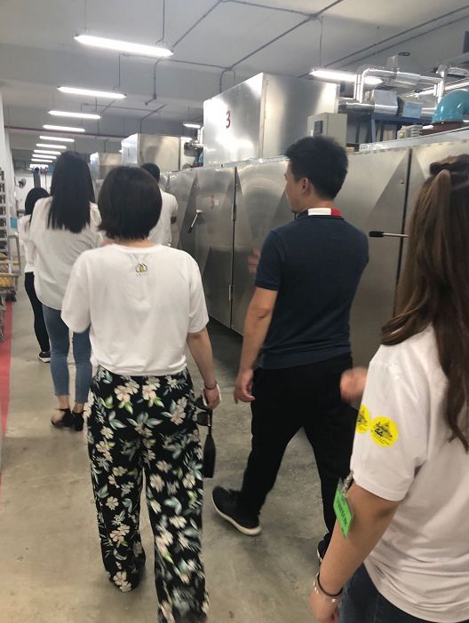 金橡树的波浪乳胶枕泰国原装进口,泰国进口乳胶枕只要99