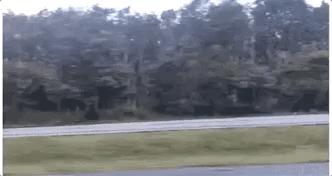 天然乳胶枕泰国多少钱一个,1280元的泰国天然乳胶枕是真的吗