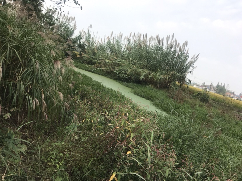 路亚打黑2022年视频,路亚打黑第一条鱼