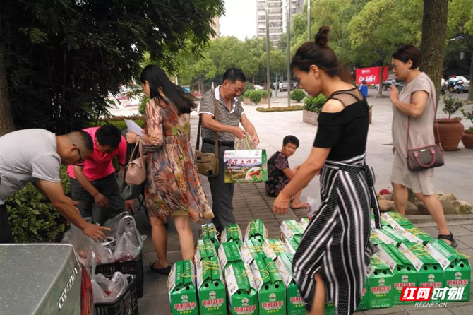 湖南新化三剑客,湖南邵阳三剑客