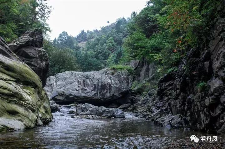 这个周末我约了丹凤的秋天,邀你共赏!去的约起来....