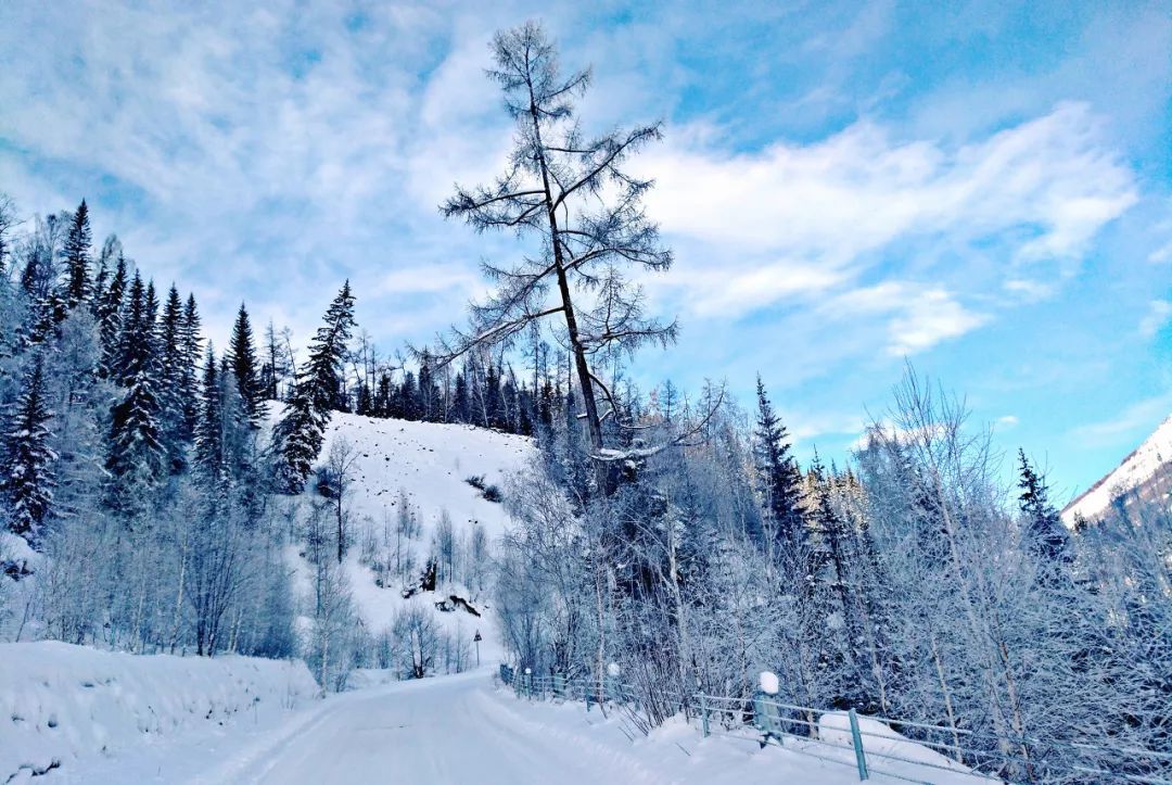 雪都阿勒泰·净土喀纳斯走进北京、上海、武汉、郑州四城向全国发起邀请：冬季做客人类滑雪起源地阿勒泰·人间净土喀纳斯不冬眠