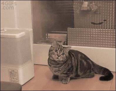 补水误区和方法的区别,直接有效的补水小贴士