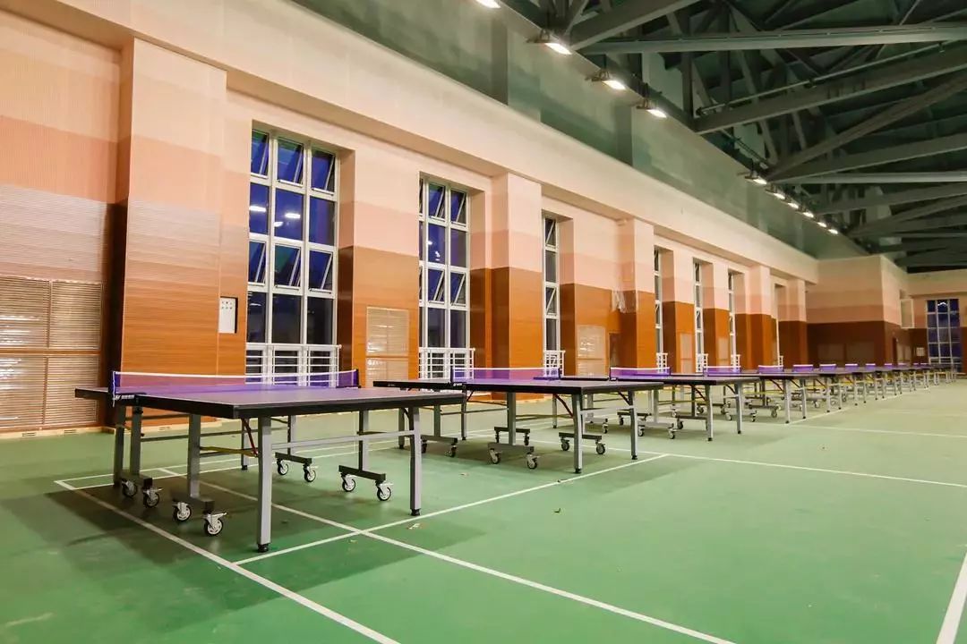 哈尔滨工程大学体育馆,哈工程青岛体育馆