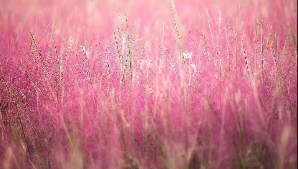 黄石周边一日游网红打卡地,黄石市爬山散步