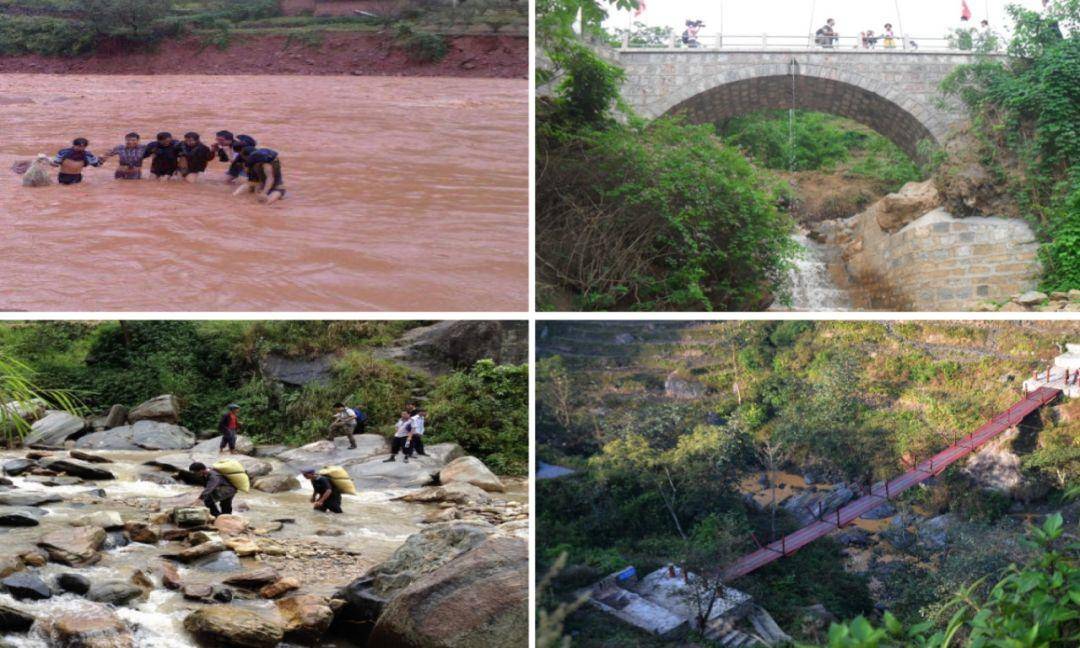 竹子的优点有哪些,竹子很有营养吗