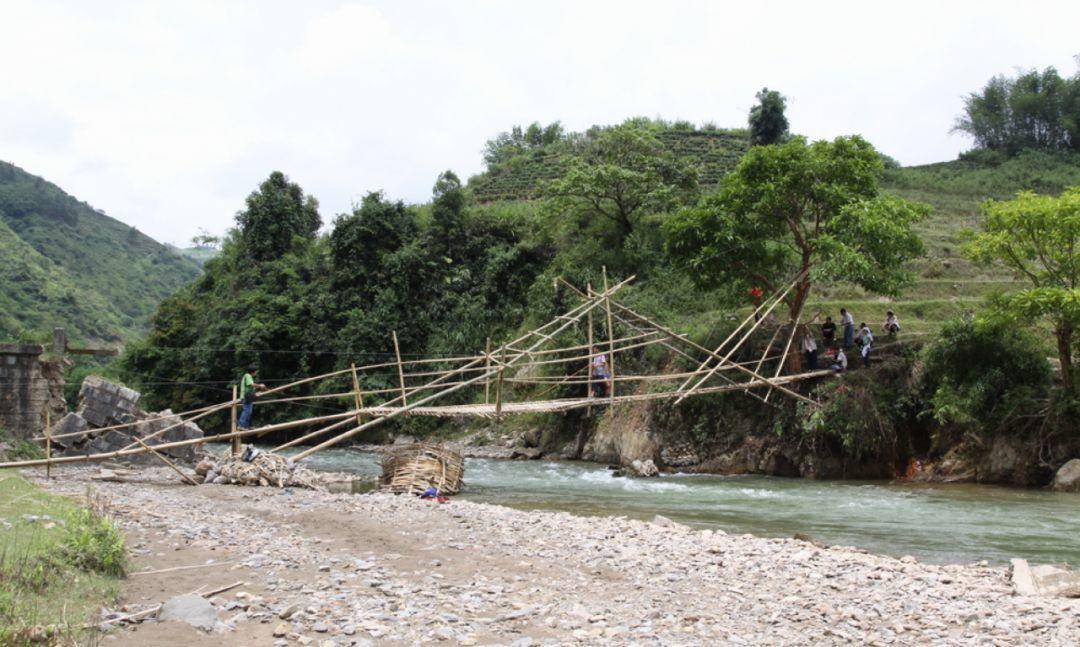 竹子的优点有哪些,竹子很有营养吗