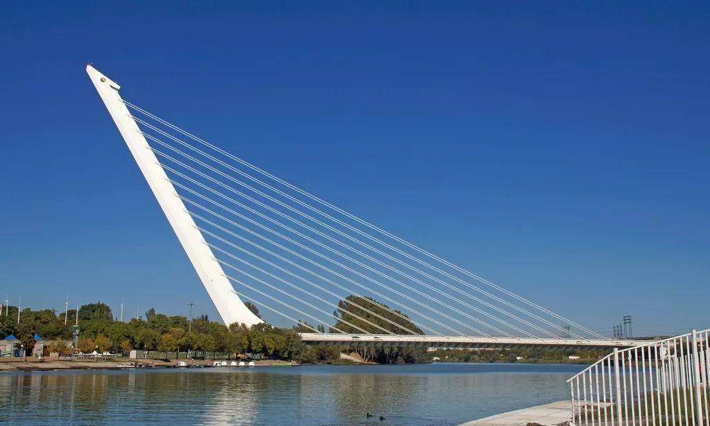 竹子的优点有哪些,竹子很有营养吗