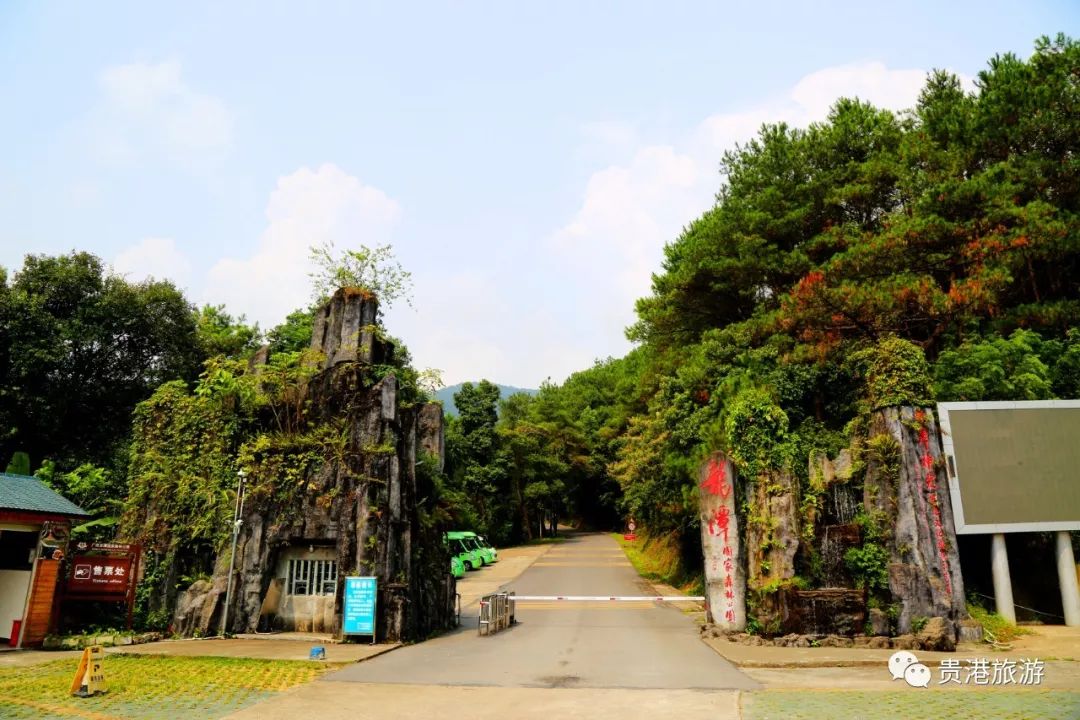 推荐|七彩天梯、野生猕猴、汽车露营……贵港龙潭国家森林公园与你不见不散