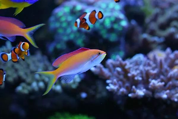 这是人家十年前的缸？我这些年瞎玩了……