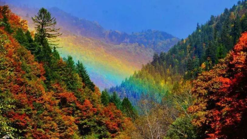 秋天的川西彩林,川西彩林最佳观赏地点