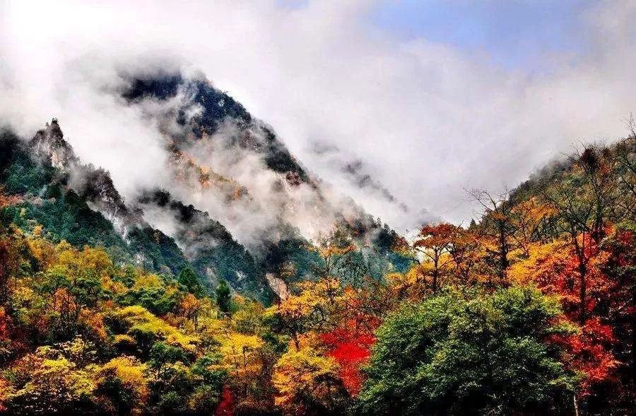 最美川西看彩林推荐地,美哭了这才是虹口秋天最美的地方