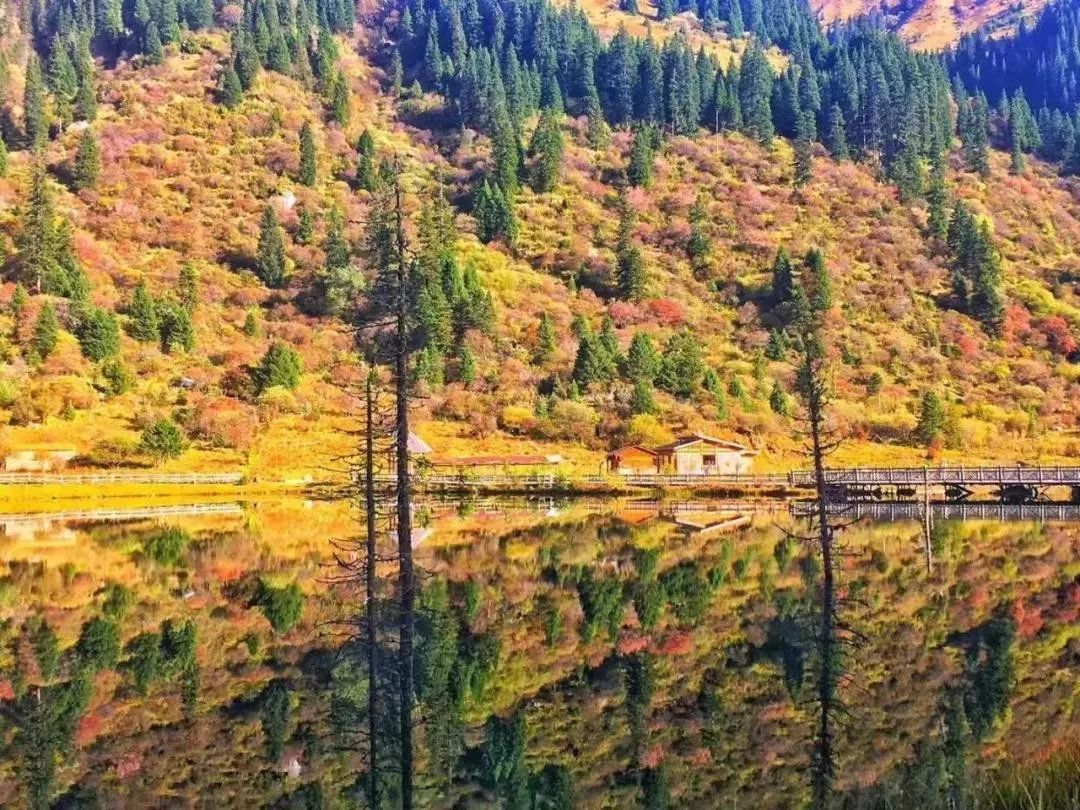 秋天的川西彩林,川西彩林最佳观赏地点