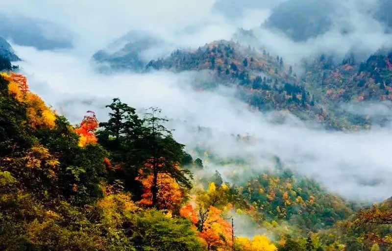 秋天的川西彩林,川西彩林最佳观赏地点