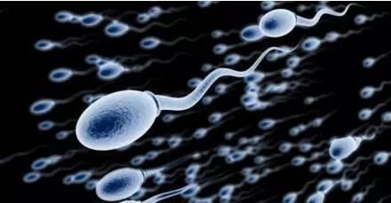 生殖科精子报告怎么看,生殖中心精子分析报告