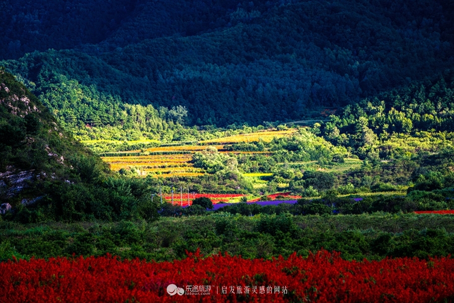 蜡笔森林在哪,蜡笔森林亲子游