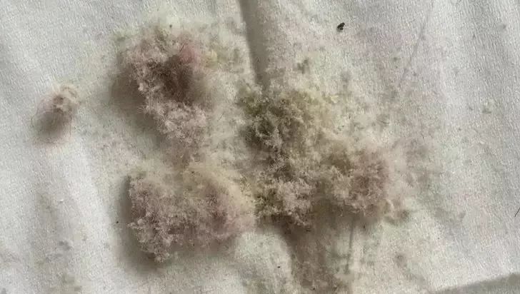 除螨杀菌喷雾好物推荐,家用除螨喷雾好物推荐