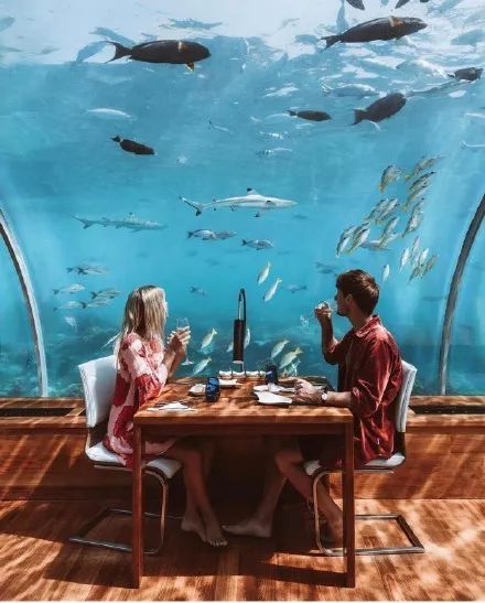 创造传奇的人,创造传奇人物