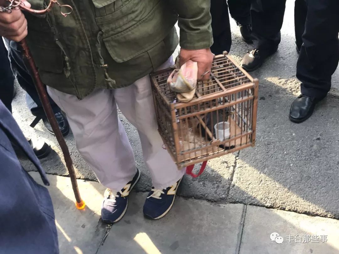 别跑！丰台这条路上买卖野生鸟的，今天被逮个现行