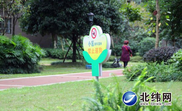 小区业主养狗扰民之症如何治,小区内业主养狗扰民物业怎样处理